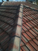 Stacks Image 81